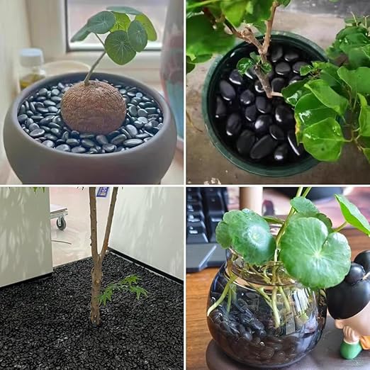 Polished Black River Rocks - 2-3 inch 10LB High Polished Decorative Pebbles, Stones for Landscaping, Natural River Rocks for Outdoor Décor, Plants,Vase Filler,Fish Tank