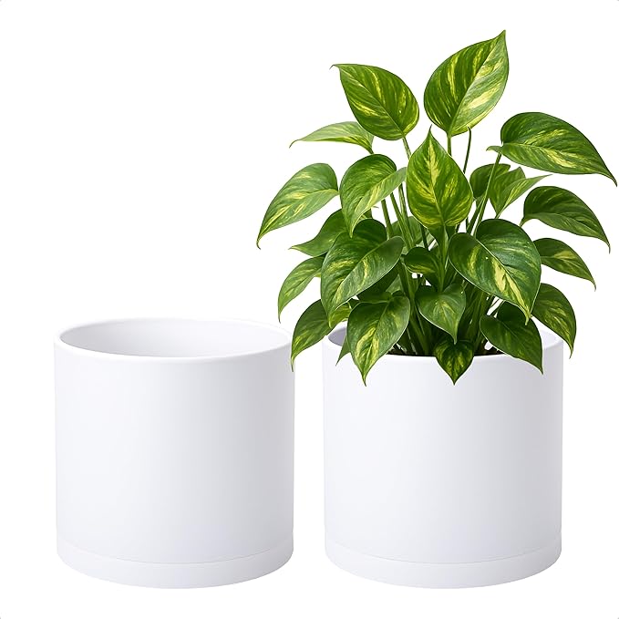 D'vine Dev 2 Pack 8 Inch Modern Plastic Plant Pots, Small Garden Planters for Plant with Drainage Holes and Saucers, White Color, 74-Z-M-1