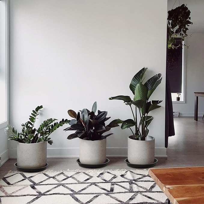 Plant Saucer, 5 Pack - 20 Inch Heavy Duty Plastic Tray for Pots, Drainage Hole, Large Drip Tray for Indoors, Waterproof, Easy to Clean, Reusable, Round, Black