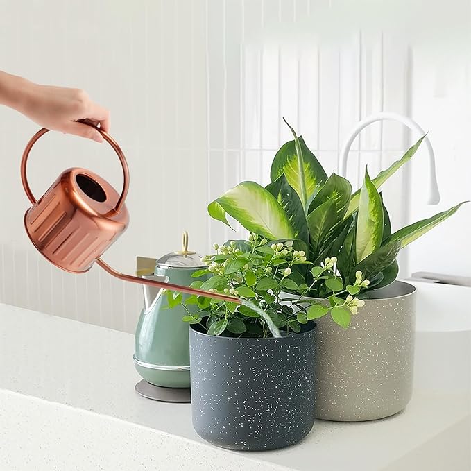 34oz/1L Stainless Steel Watering Can - Indoor/Outdoor Plant Watering Can with Long Spout, Rust-Proof for Succulents, Houseplants, Garden - Modern Minimalist Design (Copper Color)