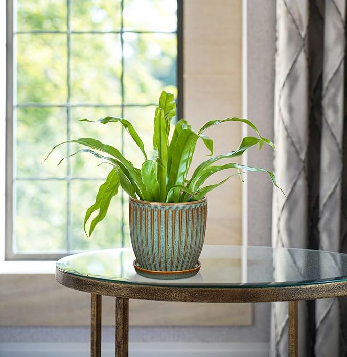 Oairse Ceramic Pots for Indoor Plants, 4.9 + 5.7 Inch Set of 2 Bluish Grey With Drainage Holes and Saucers, Texture Planters for Succulent, Indoor Outdoor Flower