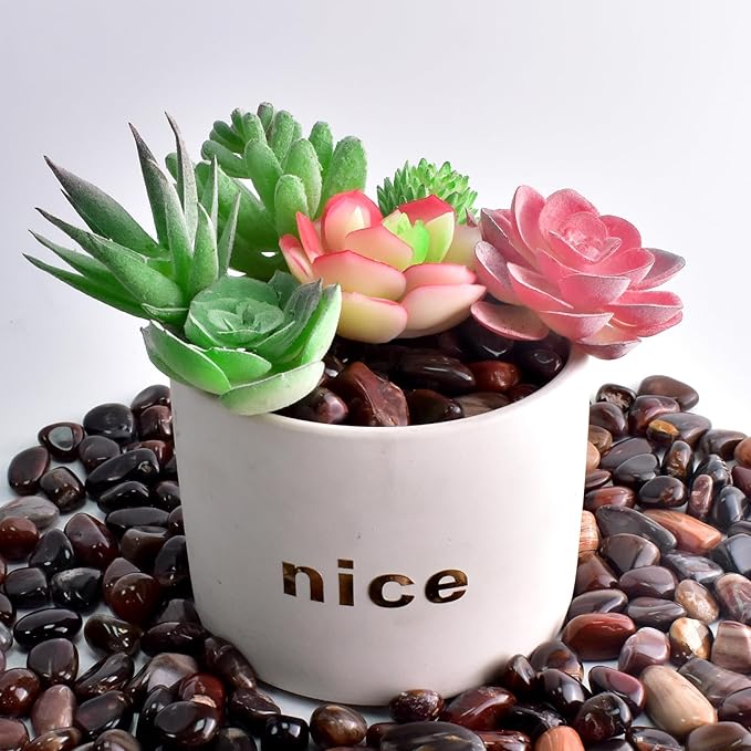 Polished Petrified Wood Crystals - 72 Pcs, 0.5" 10 oz Handpicked Natural Tumbled Gemstones Rocks, Pebbles for Reiki, Chakra, Healing Home Decor