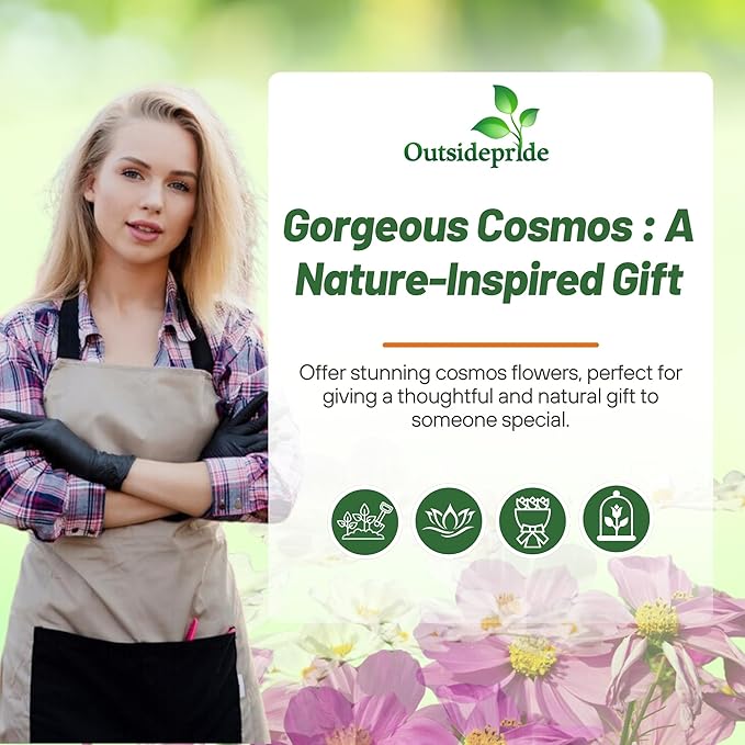 Outsidepride Sensation Mix Cosmos Bipinnatus Seeds - 1/4 lb. Annual, Drought-Tolerant, Self-Sowing, Mixed Flower Seeds for Planting Outdoors, Easy-Grow Pollinator Garden & Cut Flowers (AAS Winner)