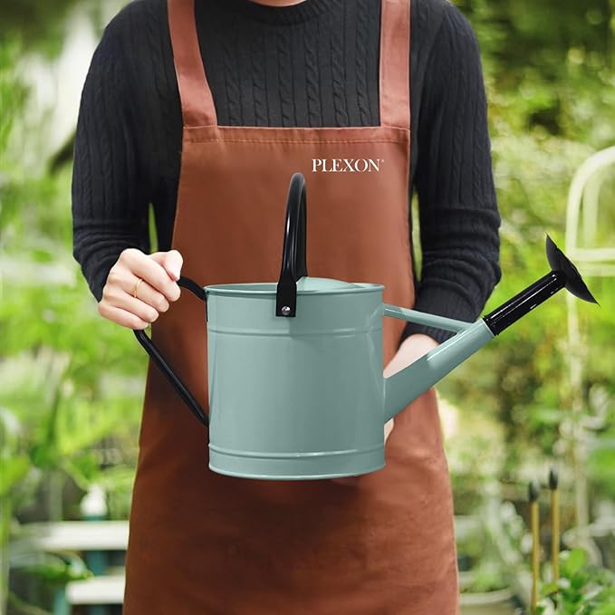 Plexon 1 Gallon Metal Watering Can Outdoor, Flower Plant Gardening Garden Large Watering Can Pot, Black Galvanized Steel Handles and Removable Spray Spout, Aqua Mist Blue
