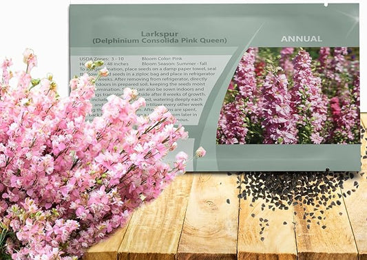 Outsidepride Delphinium Pink Larkspur Seeds for Planting Outdoors - 2000 Pcs Annual, Self-Seeding, Heat & Drought Tolerant Wildflower Seeds, Colorful Blooms for Flower Arrangement & Pollinator Garden