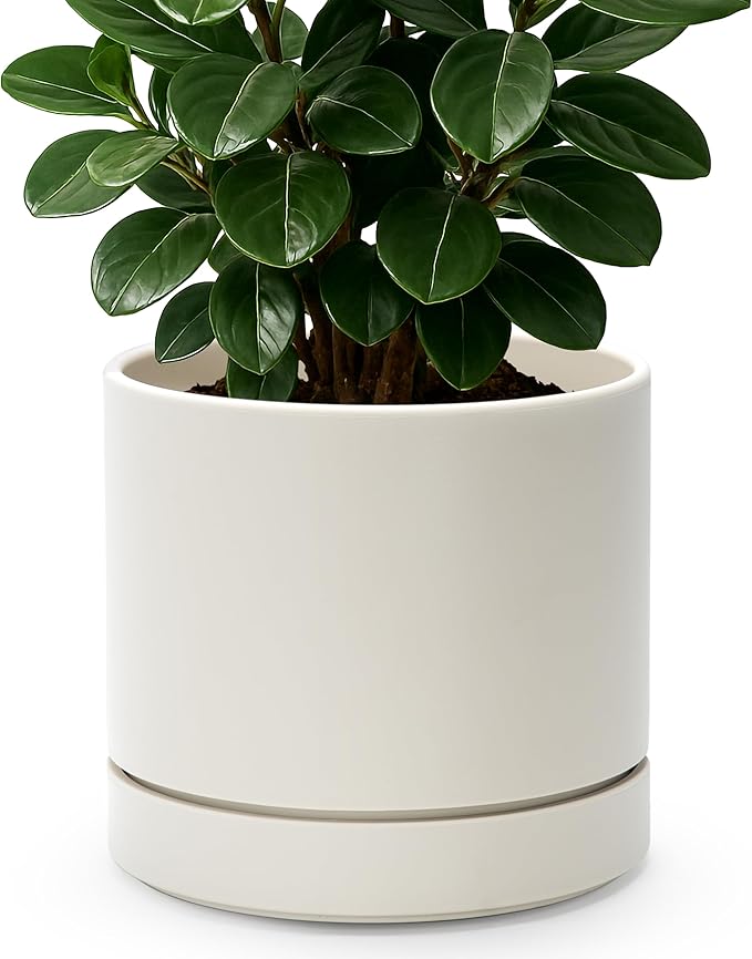 Phoenix Vine 8 Inch Planter Pot with Drainage Hole & Saucer, Deep Water Catch Tray, Straight Cylindrical Round Pot for Plants, Oatmeal, Pack of 1, 23-E-T-1