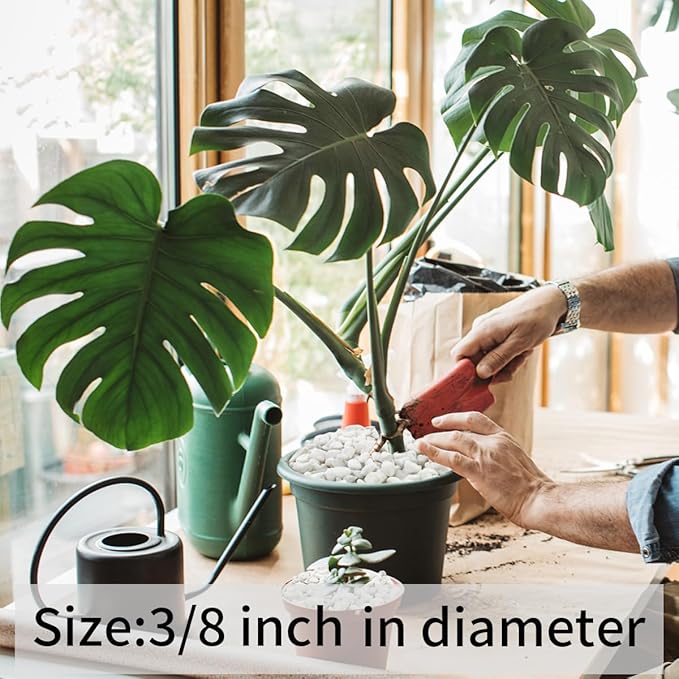 5lbs Natural White Pea Gravel Pebbles for Succulent Cactus, 3/8 Inch White Rocks for Plants Indoor, Vase Fillers, Bowl, Landscaping and Outdoor Garden Decorative White Stones