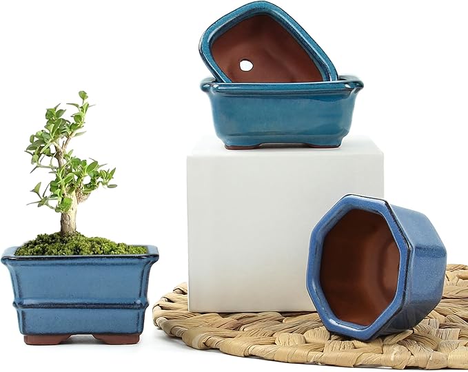 Bonsai Planter Succulent Mini Glazed Pots Value Set of 4, with 4 Soft Mesh Drainage Screens