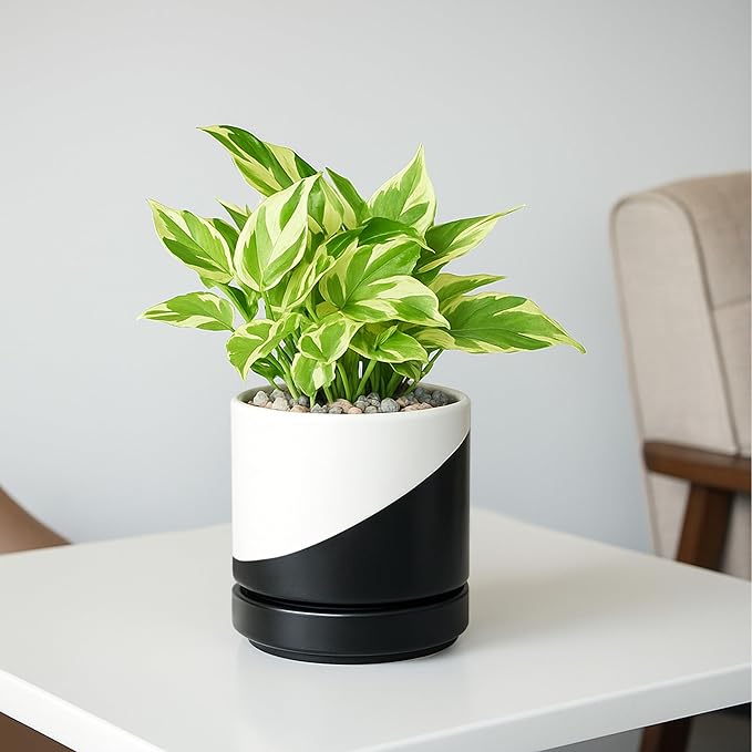 D'vine Dev 4.6 Inch Ceramic Planter Pot with Drainage Hole and Saucer, Indoor Cylinder Round Planter Pot, Oblique Monochrome Black and White, 94-O-B-K