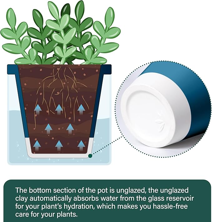 D'vine Dev 4 Inch Design Self Watering Planter for Indoor Plants, Blue Terracotta Pot with Cylinder Glass Cup, 37-X-A-4