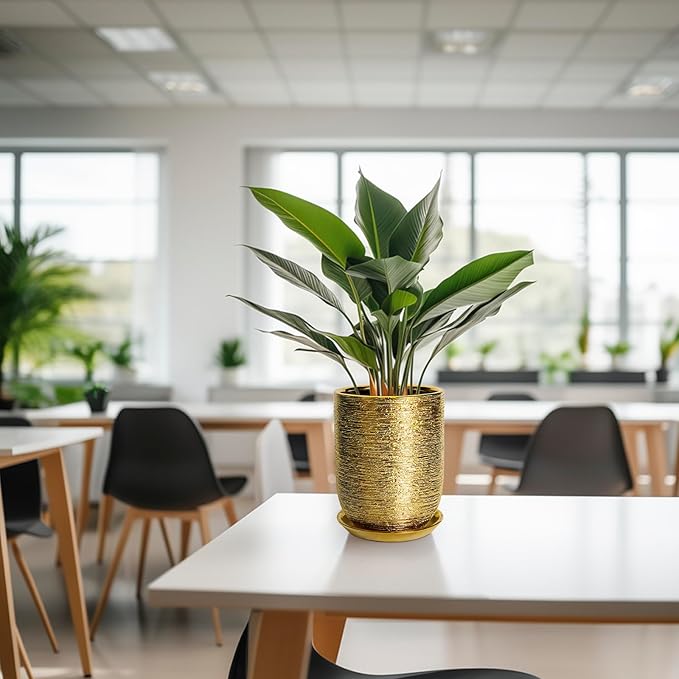 Indoor Plant Pot 8 Inch - Ceramic Planter for Indoor Outdoor Flowers, Round Modern Flower Pot with Drainage Hole and Saucer, Gifts for Plants Lovers, Garden Room Decor, Gold