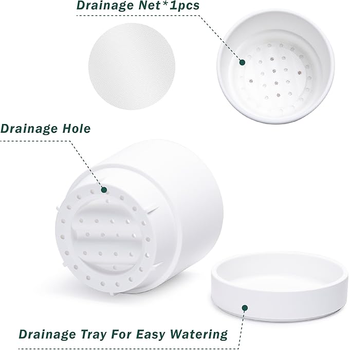 Phoenix Vine 4 Inch and 6 Inch Planter Pot with Drainage Hole & Deep Water Catch Tray Saucer, Straight Cylindrical Round Pot for Plants, Matte White, 23-A-1-Z