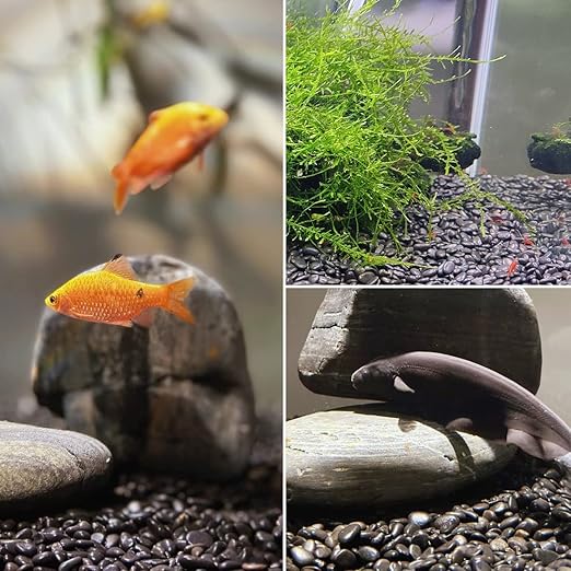 1-2.2 Inch High Decorative Black River Rocks, 5LB Polished Stones, Pebbles for Landscaping, Fish Tank, Garden, Vase Filling Pebbles, Outdoor Decorative River Rocks