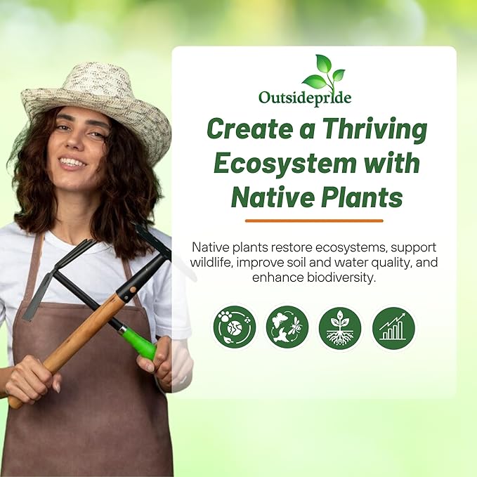 Outsidepride Southwest Wild Flower Seed Mix - 5 lbs. Heat & Drought Tolerant Premium Blend of Annual & Perennial Wildflower Seeds for Planting on Outdoor Lawns & Gardens from Spring to Fall