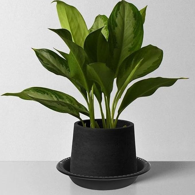 2 Pack of Extra Deep Plant Saucer Tray 10 inch, Heavy Duty Plastic Pot Plant Drip Trays Saucers for Indoors Outdoor, Black