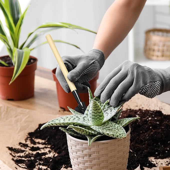 BESPORTBLE 6PCS Mini Garden Tools Set - Succulent Shovel - Miniature Shovels for House Plants for Bonsai Gardening Ideal Mini Tools for and Adults