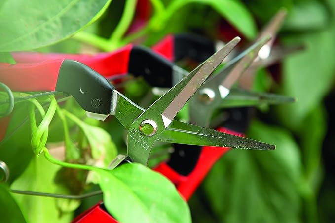Felco F322 Pruning Snips – 9.84" Swiss-Made Garden Clippers with Curved Blade & Rounded Tip | Pruning Shears for Gardening | Garden Snips and Pruners with Carbon Steel Blade, Sap Groove