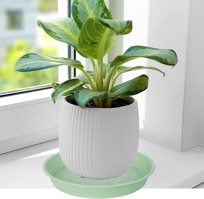 6 Pack of 12 inch Plant Saucer, Heavy Duty Plastic Plant Saucer 12" Round, Durable Plant Tray for Pots, Plant Saucers for Indoors, Plant Trays for Planter (12", Light Green)