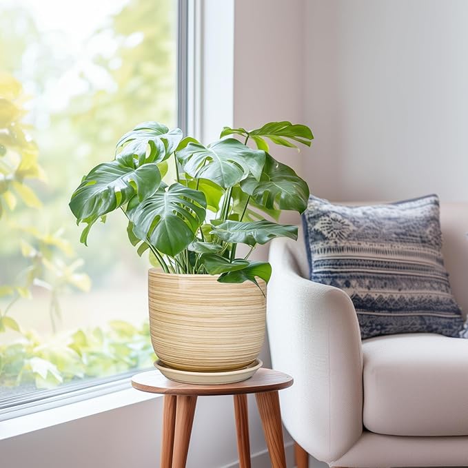 Indoor Plant Pot 8 Inch - Cylinder Modern Ceramic Planter for Indoor Outdoor Plants with Drainage Hole and Saucer, House Office Home Room Desk Decor, Yellow