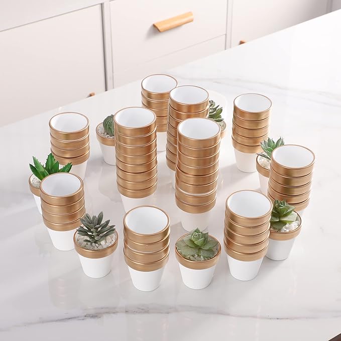 36 PCS Small Mini White&Gold Clay Pots with Drainage Holes,2.5inch Terra Cotta Pot Clay Ceramic Pottery Planter,Succulent Nursery Pot/Cactus Plant Pot,for Indoor/Outdoor Plants, Crafts, Wedding Favor