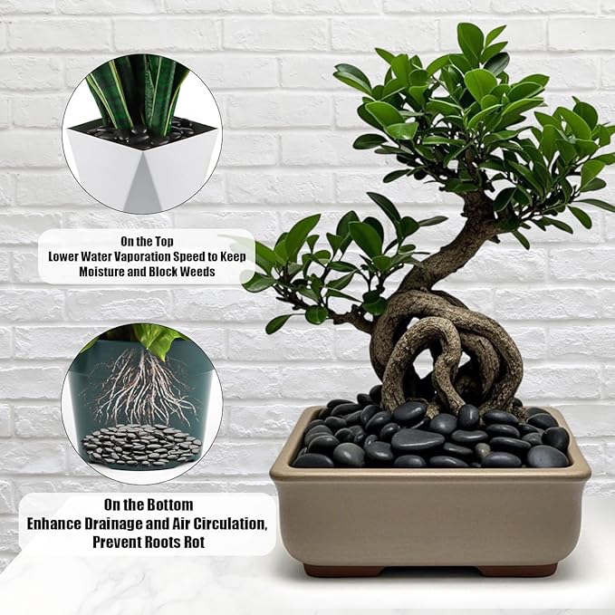 River Rocks 5 Lb, Pebbles for Indoor Plants 0.8"-1.5", Black Rocks for Outdoor Landscaping, Decorative Stones Vase Filler, Fish Tank, Fountain, Succulents, Flower Bed, Black