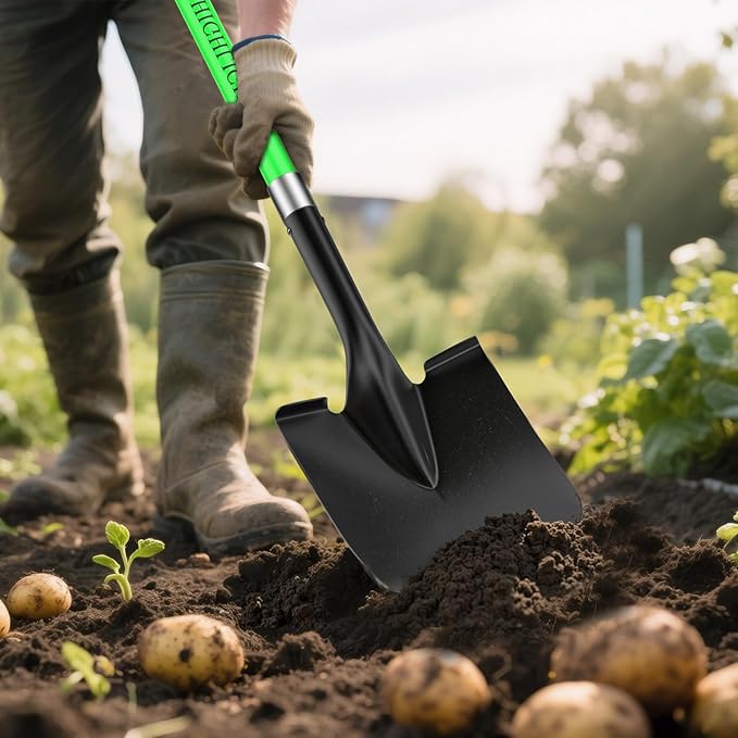 HIGHLIGHT Spade, Heavy Duty Gardening Shovel, Garden Shovel 56 inch for Digging, Round Shovel with D-Handle, for Garden,Beach, Snow, Fiberglass Handel, Green