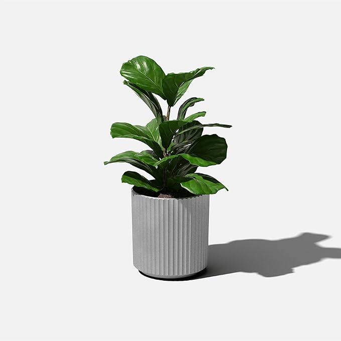 Veradek Demi Series Round Planter for Porch, Patio, Backyard | Durable Plastic-Concrete Material | Modern Décor for Tall Plants, Flowers