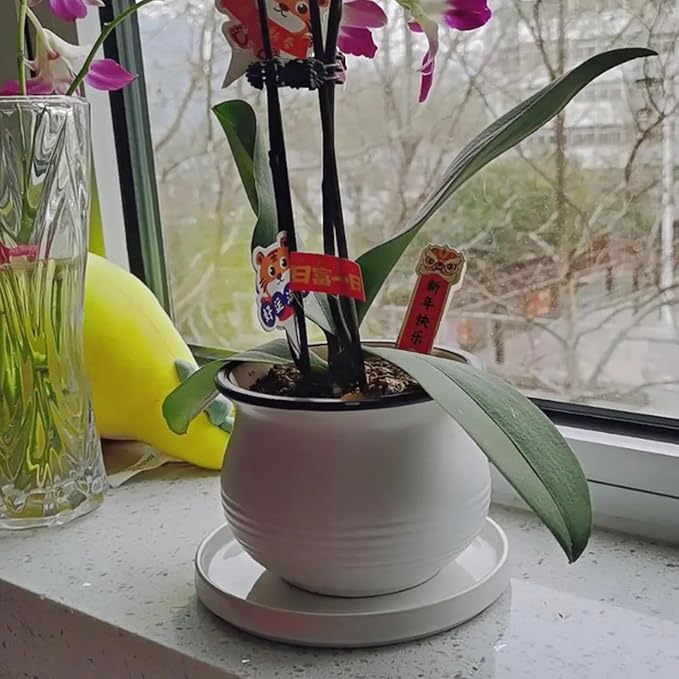 Ceramic Plant Saucer Pot Tray White 2pcs-12 Inch, Planter Saucers 4 5 6 7 8 9 10 11 12 Inch for Indoors Outdoor, Durable Sturdy Flower Drainage Tray for Glazed Pots Base (12.5 Inch-2-White)