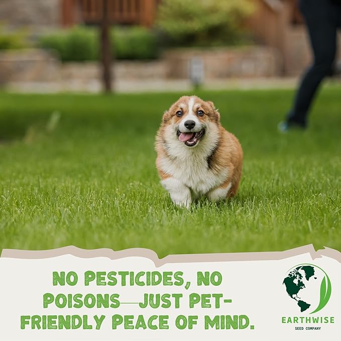 Earthwise PetLawn Seed Mix - 5 lb - Covers 2000 sq. ft. (Bare) / 5000 sq. ft. (overseed)