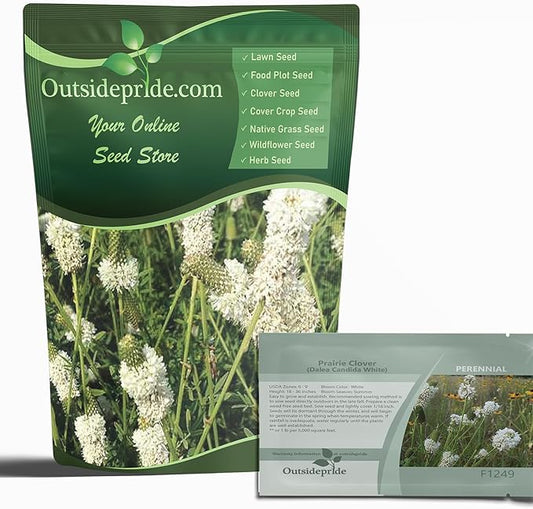 Outsidepride White Prairie Clover Seeds - 1000 Pcs Perennial Seeds for Planting, Easy to Grow, Drought & Heat Tolerant, High Protein Forage for Livestock, Ideal for Meadow Gardens, & Xeriscaping