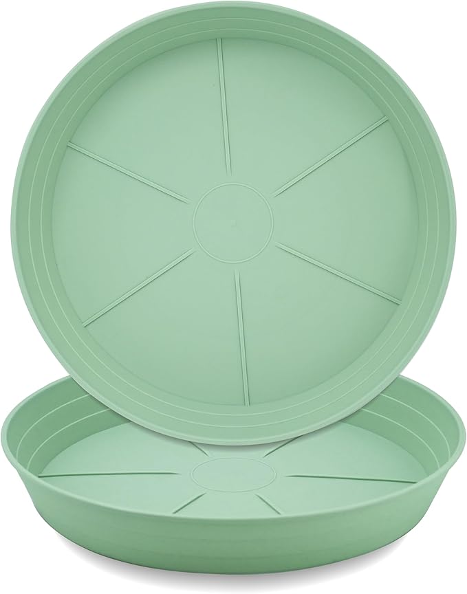 Plant Saucer 14 Inch 2 Pack 6 8 10 12 14 16 18 20 25, Plastic Plant Trays for Pots，Extra-Deep Plant Water Dray Tray, Bird Bath Bowl, Heavy Flower Plant Saucers Indoors and Outdoor No Holes