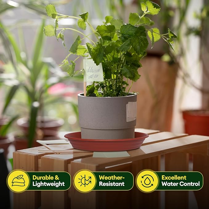 6 Pack Plant Saucer, 8 10 12 inch Plant Saucers for Indoor, Heavy Duty Plastic Plant Trays for pots, Grow Bags, Bird Baths, Flower Drip Trays for Indoor and Outdoor Uses (12", Brown)