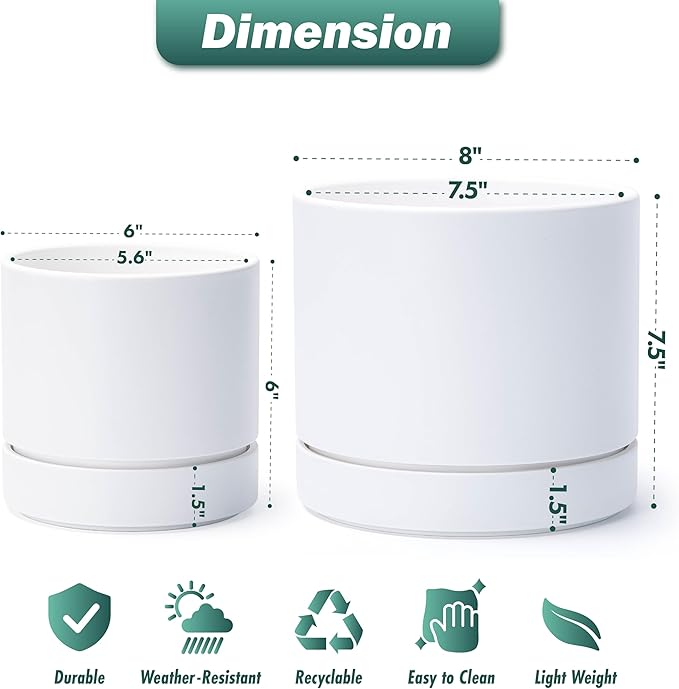Phoenix Vine 6 Inch and 8 Inch Planter Pot with Drainage Hole & Deep Water Catch Tray Saucer, Straight Cylindrical Round Pot for Plants, Matte White, 23-A-1-Y