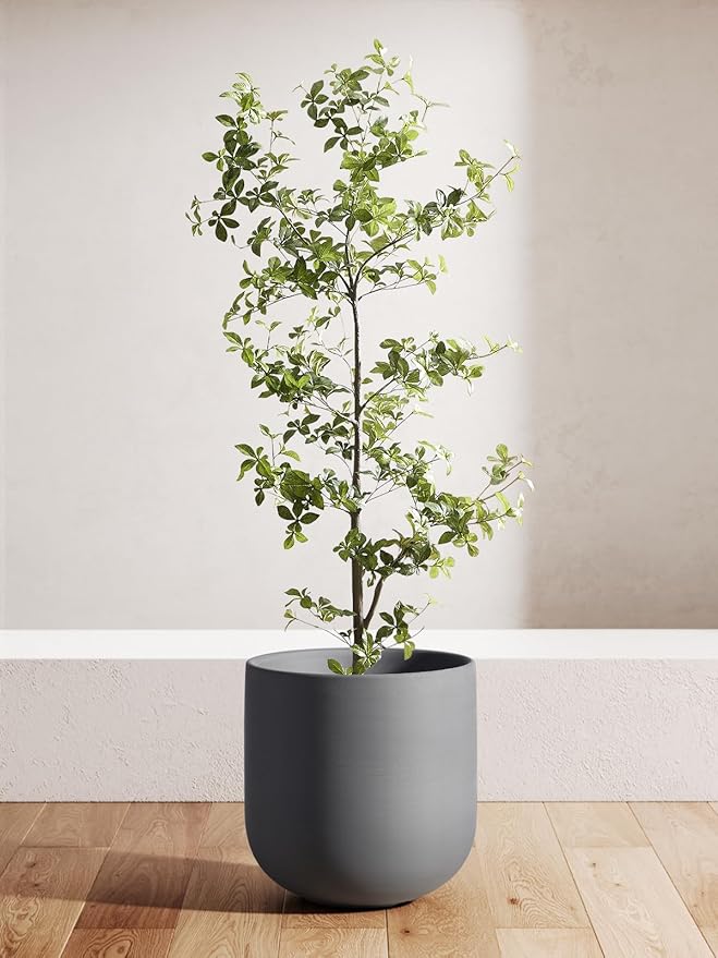 LE TAUCI 12 Inch Pots for Plants, Ceramic Large Planters for Indoor Plants, Indoor Plant Pots for Home Garden Patio Office, Big Planter Pots with Drainage Hole and Rubber Plug, Charcoal Gray