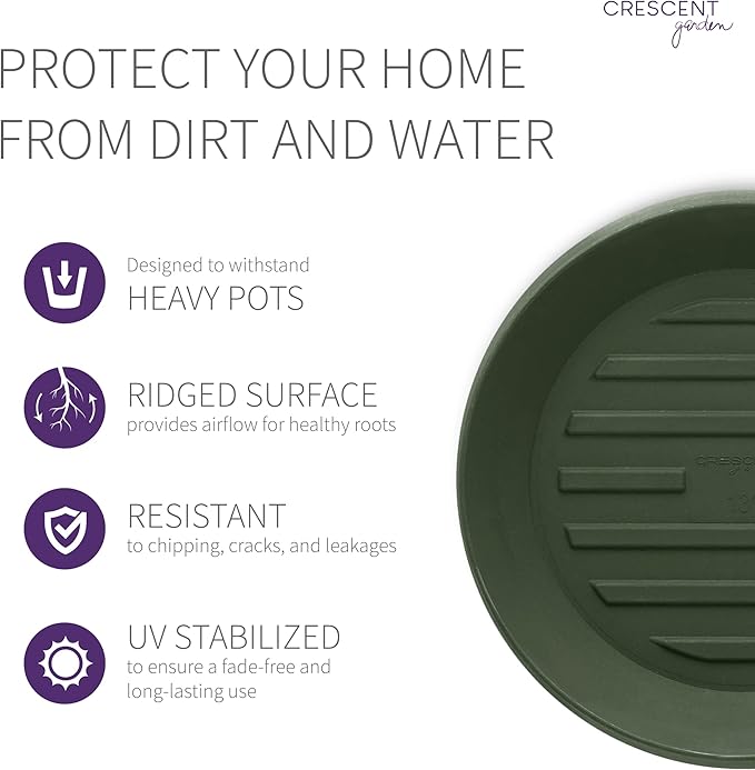 Crescent Garden Universal Round Planter Saucer – Heavy-Duty Plastic Drainage Tray for Indoor & Outdoor Use – Fits Pots with 8" Base (11" Total Outer Diameter) - Olive Green