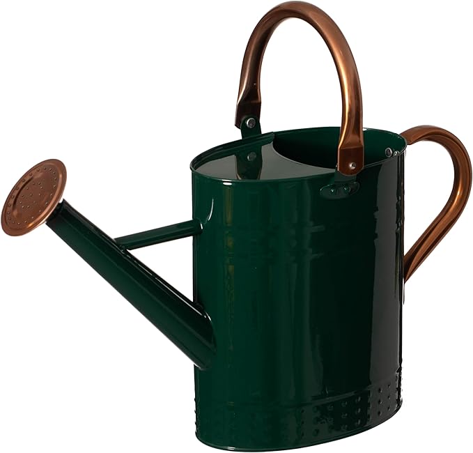 Gardenised 1 Gallon Galvanized Metal Watering Can with Removable Long Spout & Sprinkler Head for Indoor & Outdoor Use Ideal for Garden Flowers Potted Plants Houseplants Modern Home Accessories, Green