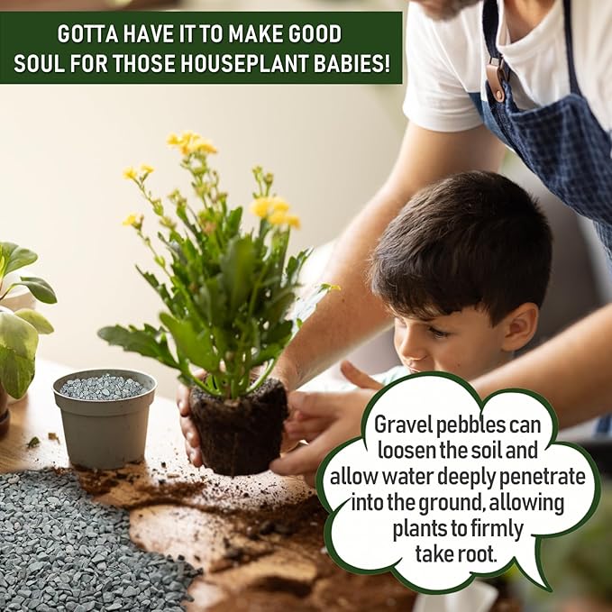 2 LBS Blue Pea Gravel, Natural Succulent and Cactus Gravel Pebbles, Pebbles for Indoor Plants, Natural Gardens Mulching, for Houseplants, for Aquarium Gravel, to Maintain Soil Aeration(4-6mm)