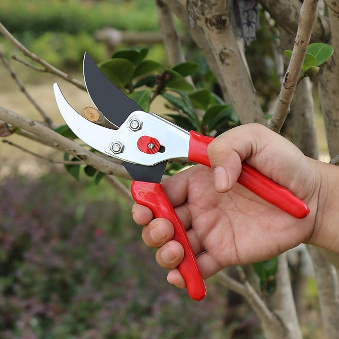 Flora Guard Garden Shears 8.5" Bypass Pruning Shears, Professional Ultra Sharp Sk5 Steel Garden Clippers, Heavy Duty Plant Cutting Scissors Tools Supplies, Hedge Branch Trimmer, Super Durable