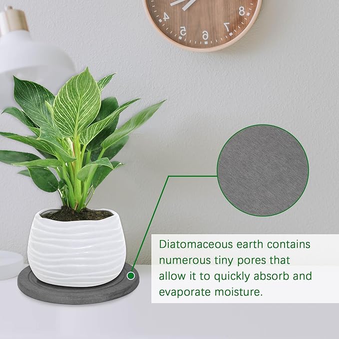 Plant Saucer Flower Pot Saucers Plant Trays for Pots Instant Dry Diatomaceous Earth Round Plant Drip Trays for Indoors Keeping Counter and Floors Dry and Clean (2Pcs Grey Small)