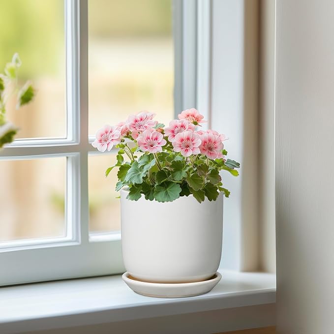 Indoor Plant Pot 5 Inch - Round Ceramic Planter for Succulent Plants with Drainage Hole and Saucer, Modern Home Decor, White