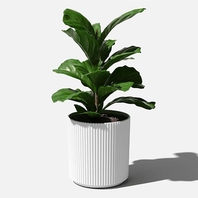 Veradek Demi Series Round Planter for Porch, Patio, Backyard | Durable Plastic-Concrete Material | Modern Décor for Tall Plants, Flowers