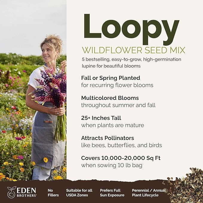 Eden Brothers Lupine Flower Mixed Seeds for Planting, 10 lb, 4,800,000+ Seeds with Russell, Arroyo, Yellow, Sky Lupine | Attracts Pollinators, Plant in Spring or Fall, Zones 3, 4, 5, 6, 7, 8, 9, 10