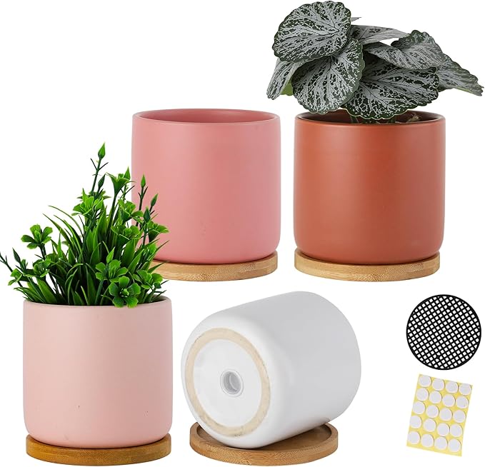 4 Inch Ceramic Plant Pots with Drainage Holes and Trays, Adorable Small Cylinder Flower Planter Pot with Saucers for Indoor Plants, Succulent, Snake Plants, Cactus & Herbs, Multicolor, Set of 4