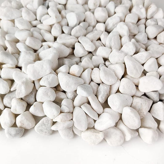 HappyFiller Polished 18 LB 1/2" White Matted Pebbles for Outdoor Garden Landscape Pave Walkway Small Rocks,Indoor Plants Succulents Cactus,Aquarium,Vase Fillers,Cultivation Hydroponic Stone,Zen