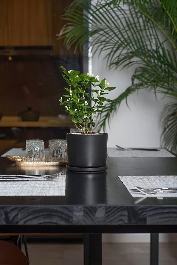 Ekirlin 5 inch Plant Pots,Ceramic Flower Planters Indoor,Modern Succulents Containers with Drain Hole Saucer,Decorate Home,Office & Outdoor (Black)