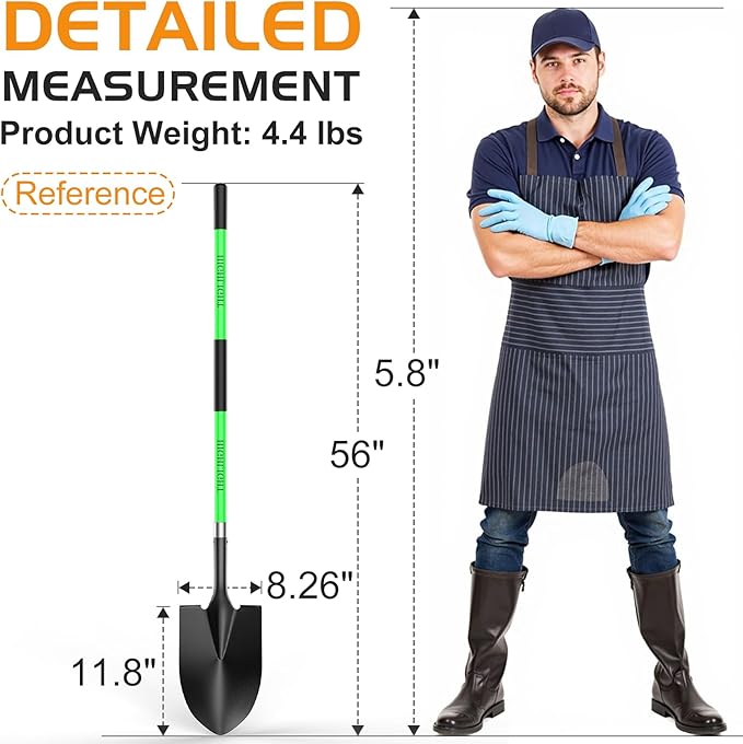 HIGHLIGHT Spade, Heavy Duty Gardening Shovel, Garden Shovel 56 inch for Digging, Round Shovel with D-Handle, for Garden,Beach, Snow, Fiberglass Handel, Green