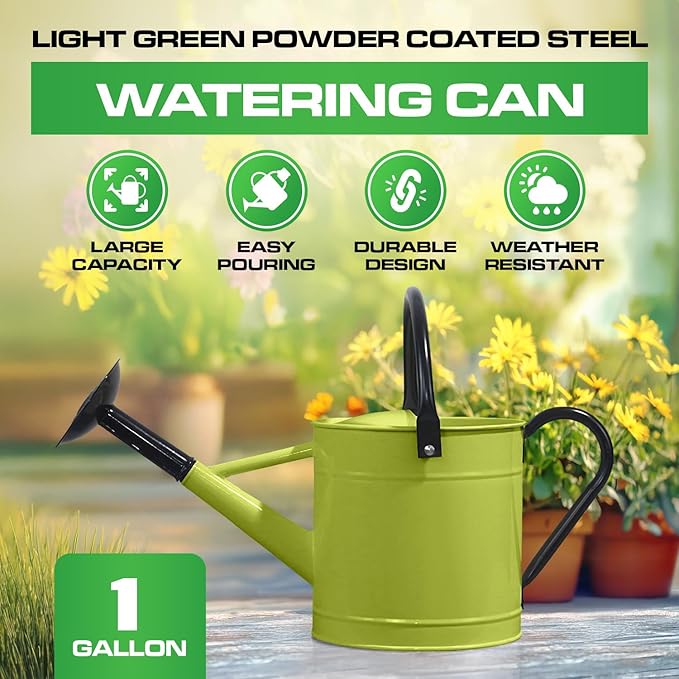 Plexon 1 Gallon Metal Watering Can Outdoor, Flower Plant Gardening Garden Large Watering Can Pot, Black Galvanized Steel Handles and Removable Spray Spout, Green