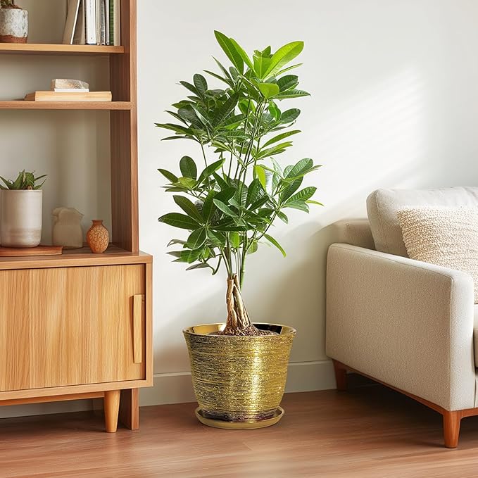 Ceramic Planter - 10 Inch Plant Pot with Drainage Hole and Saucer, Round Flower Pots for Indoor Outdoor, Large Modern Decorative Planter, Garden Room Home Decor, Gifts for Plant Lover, Gold