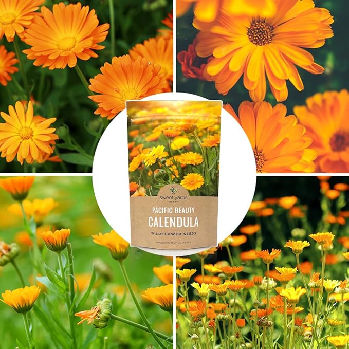 Calendula ‘Pacific Beauty Mix’ – Bulk Quarter Pound Bag – Over 12,000 Open Pollinated Non-GMO Wildflower Seeds – Calendula officinalis