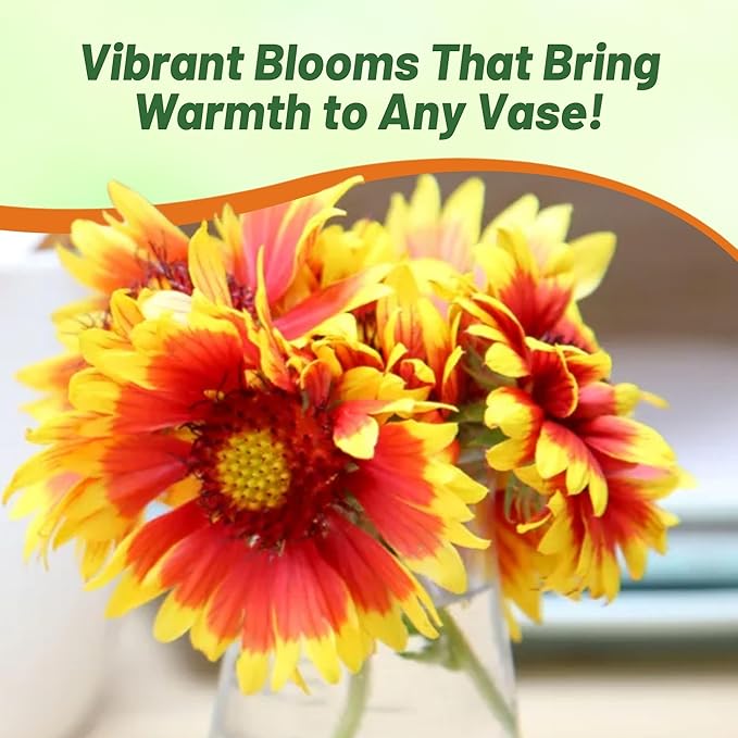 Outsidepride Gaillardia Aristata Red Blanket Flower Seeds for Planting - 1 lb Perennial Wildflower Seeds, Drought-Tolerant for Xeriscaping, Borders, Pollinator Gardens, or Wildflower Mixes